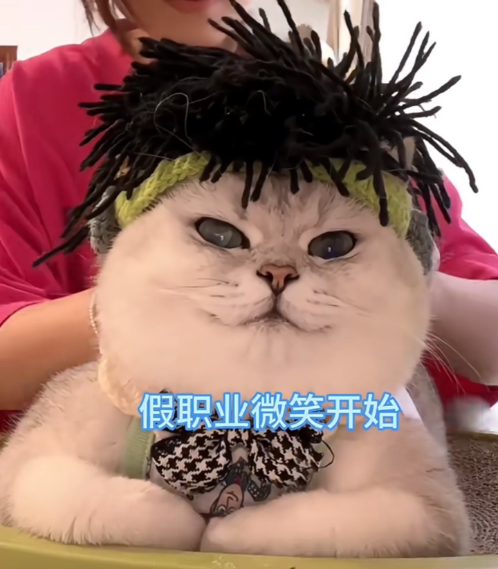 AI 能取代人类吗?